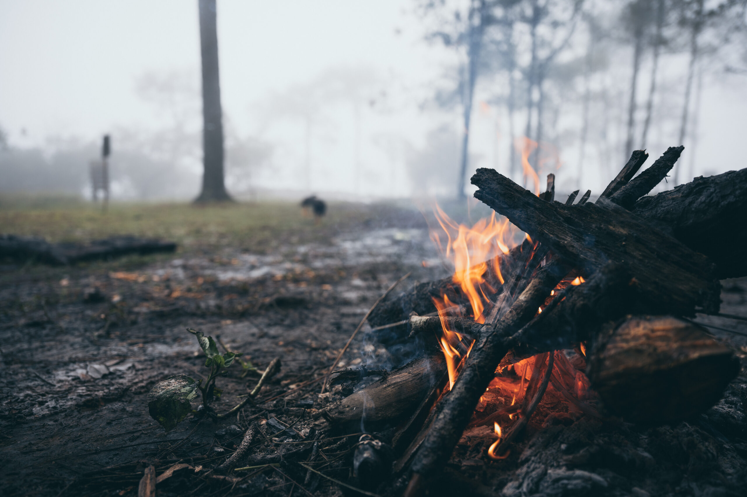 Campfire glowing in a winter forest at night